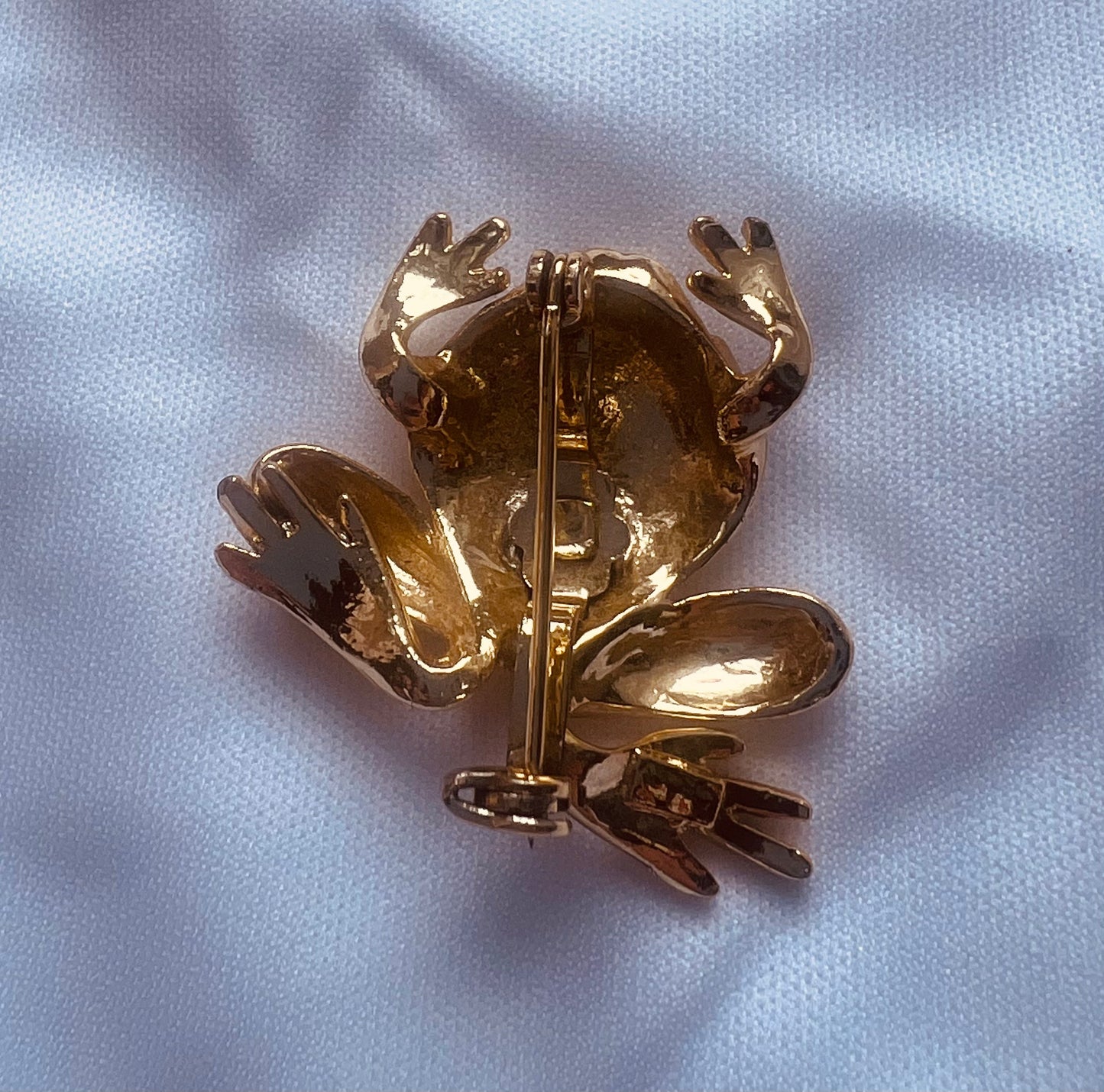 Cross Eyed Toad Brooch