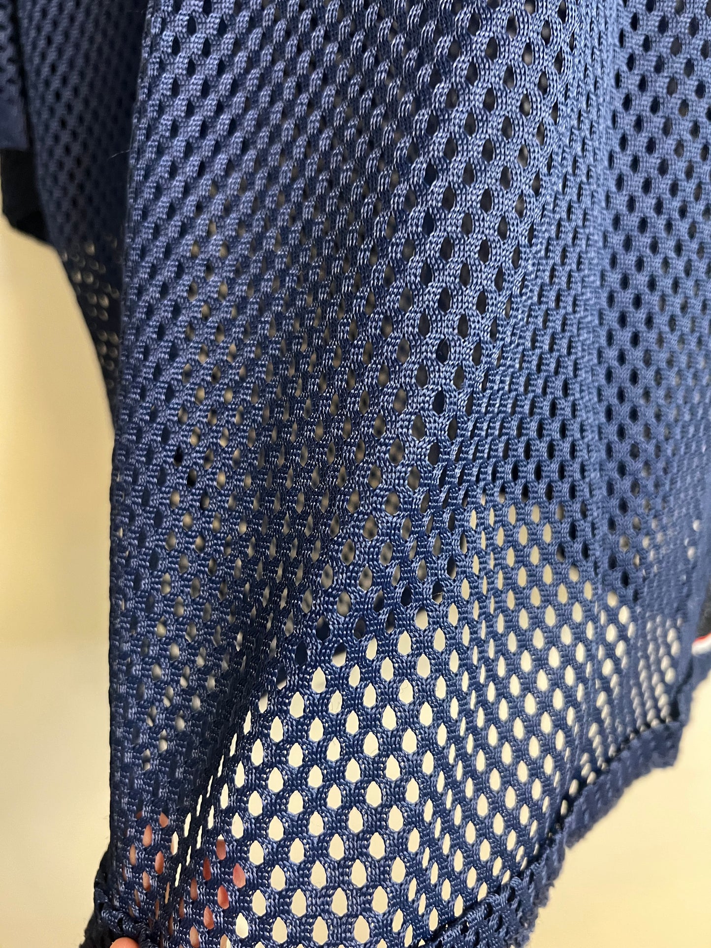 Gary Manilow sports mesh