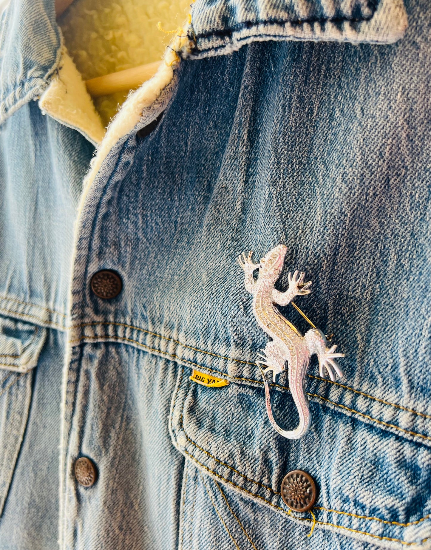 Enby Silver Gator Brooch