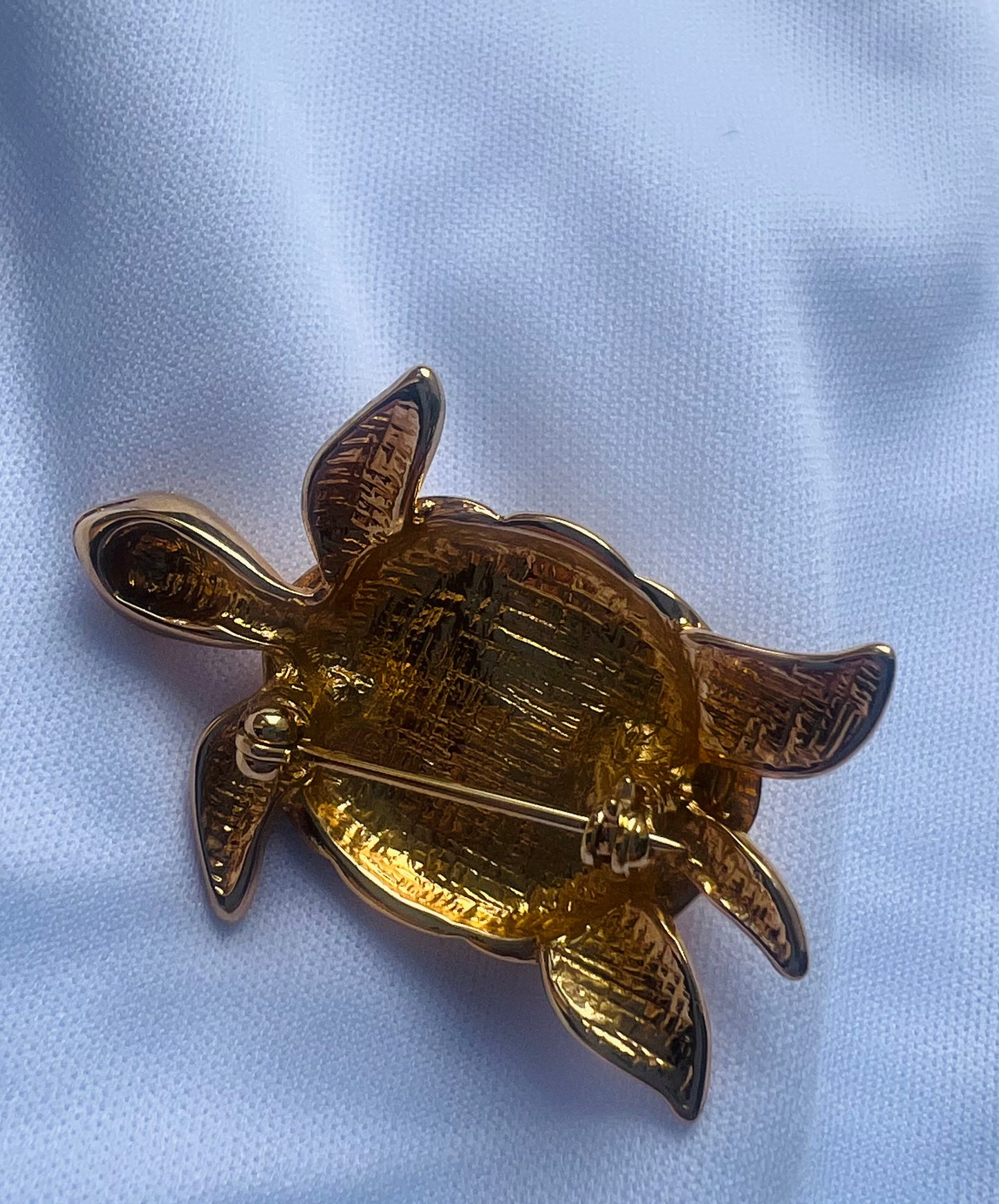 Pearl Back Bi Baby Turtle