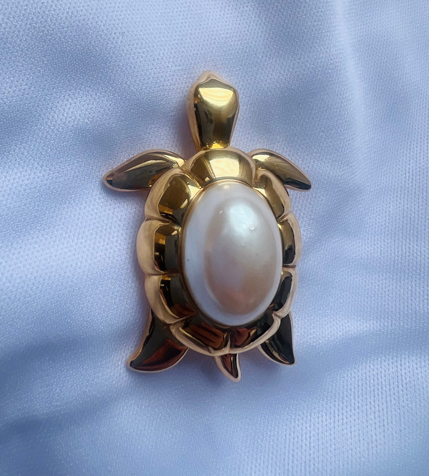 Pearl Back Bi Baby Turtle