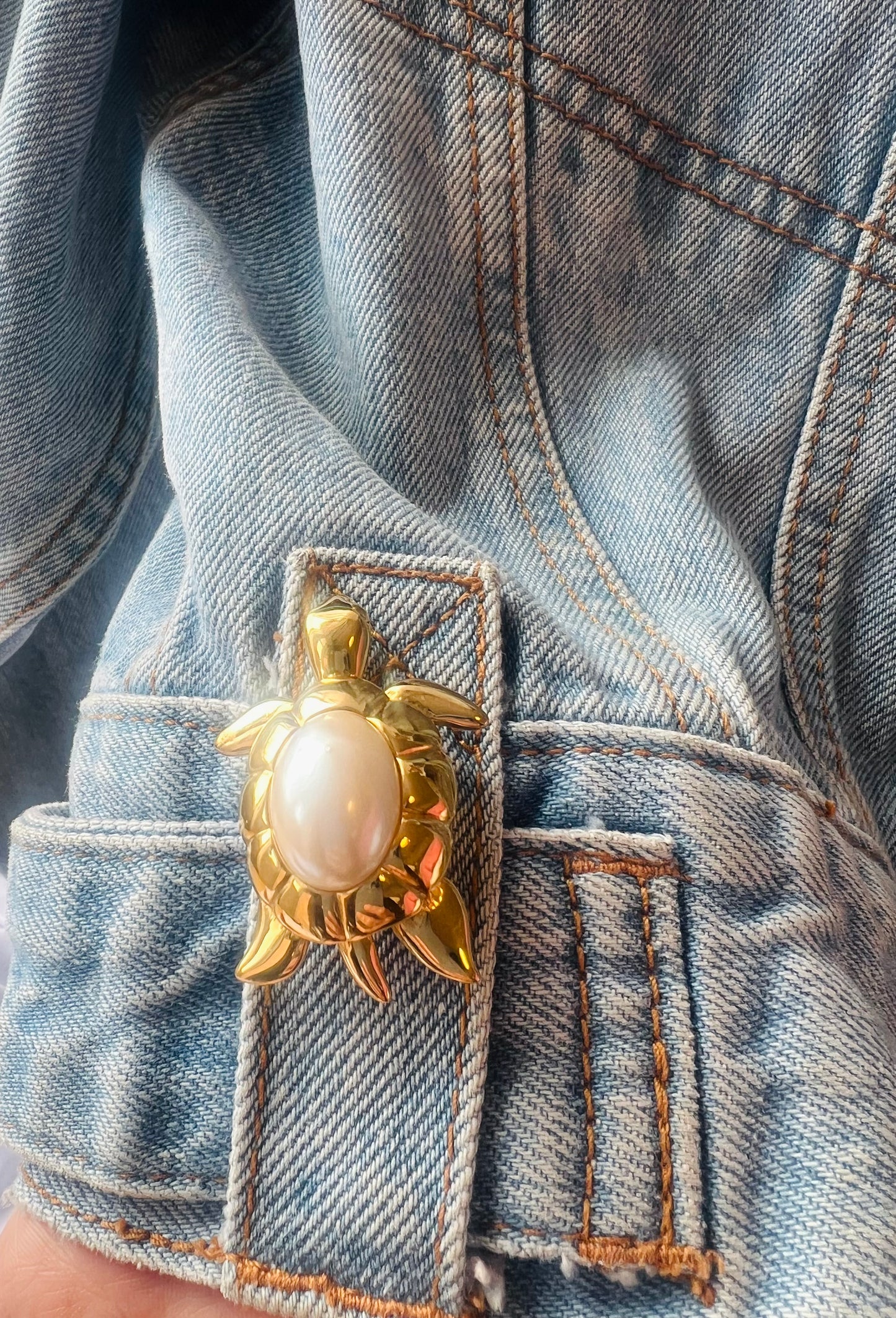 Pearl Back Bi Baby Turtle