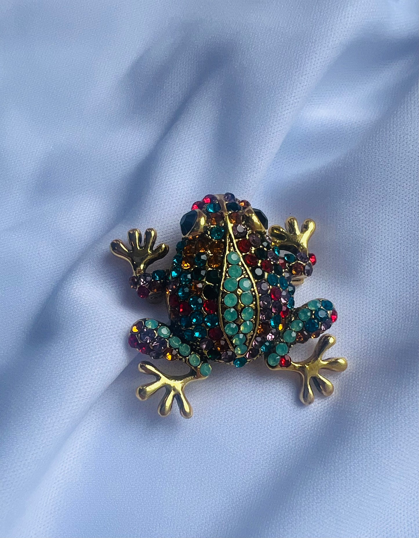 Black Eyed Pan Frog Brooch