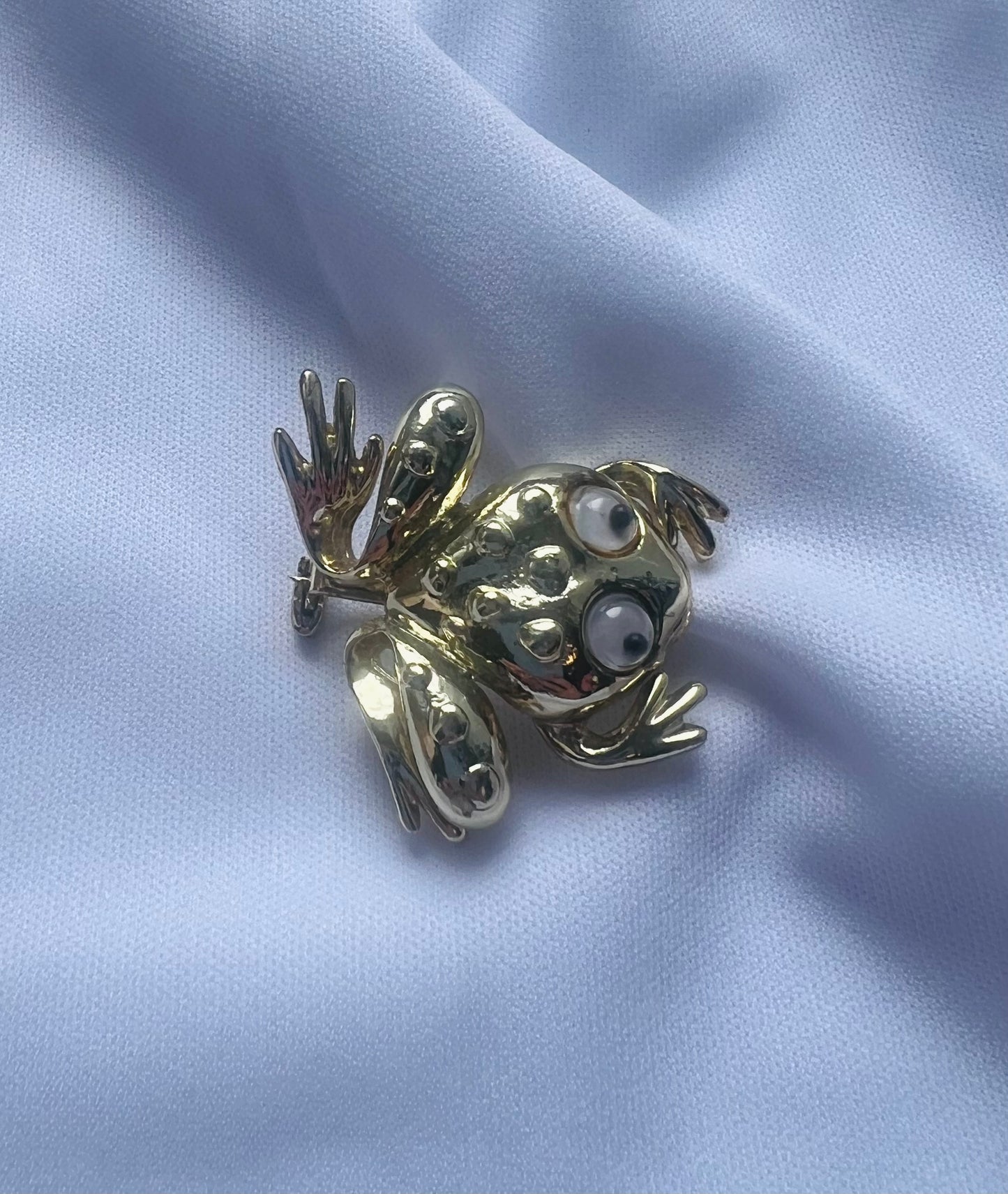 Cross Eyed Toad Brooch