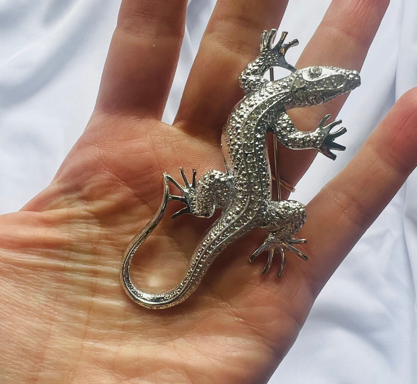 Enby Silver Gator Brooch
