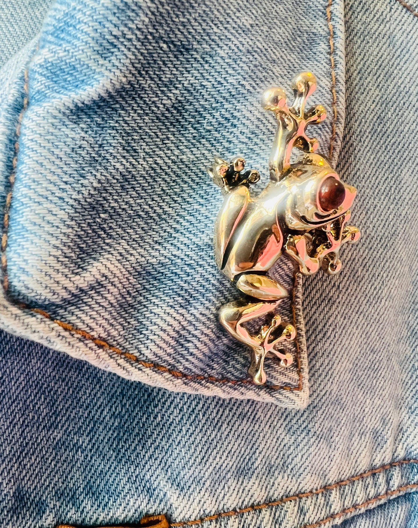 Amber Eyes Climbing Frog brooch