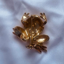 Load image into Gallery viewer, Cross Eyed Toad Brooch
