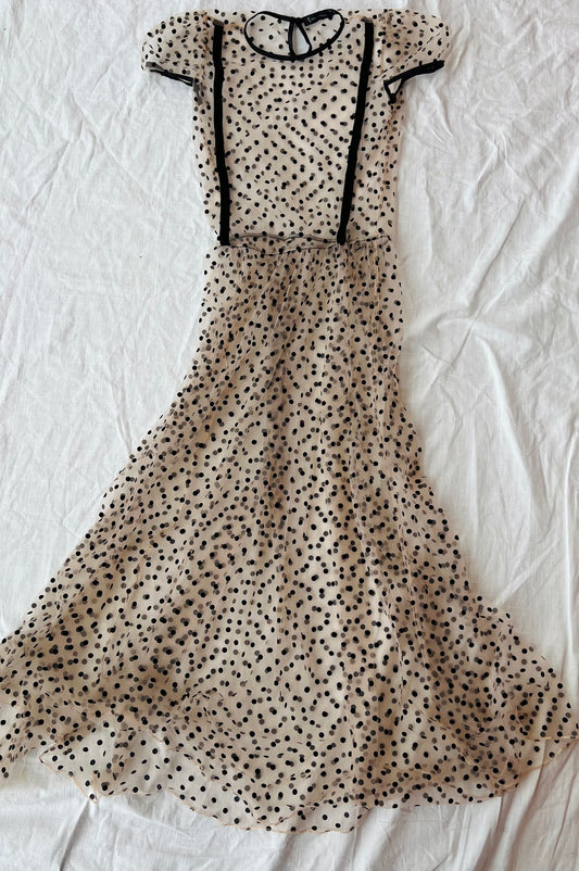 Sheer polka Dot dress