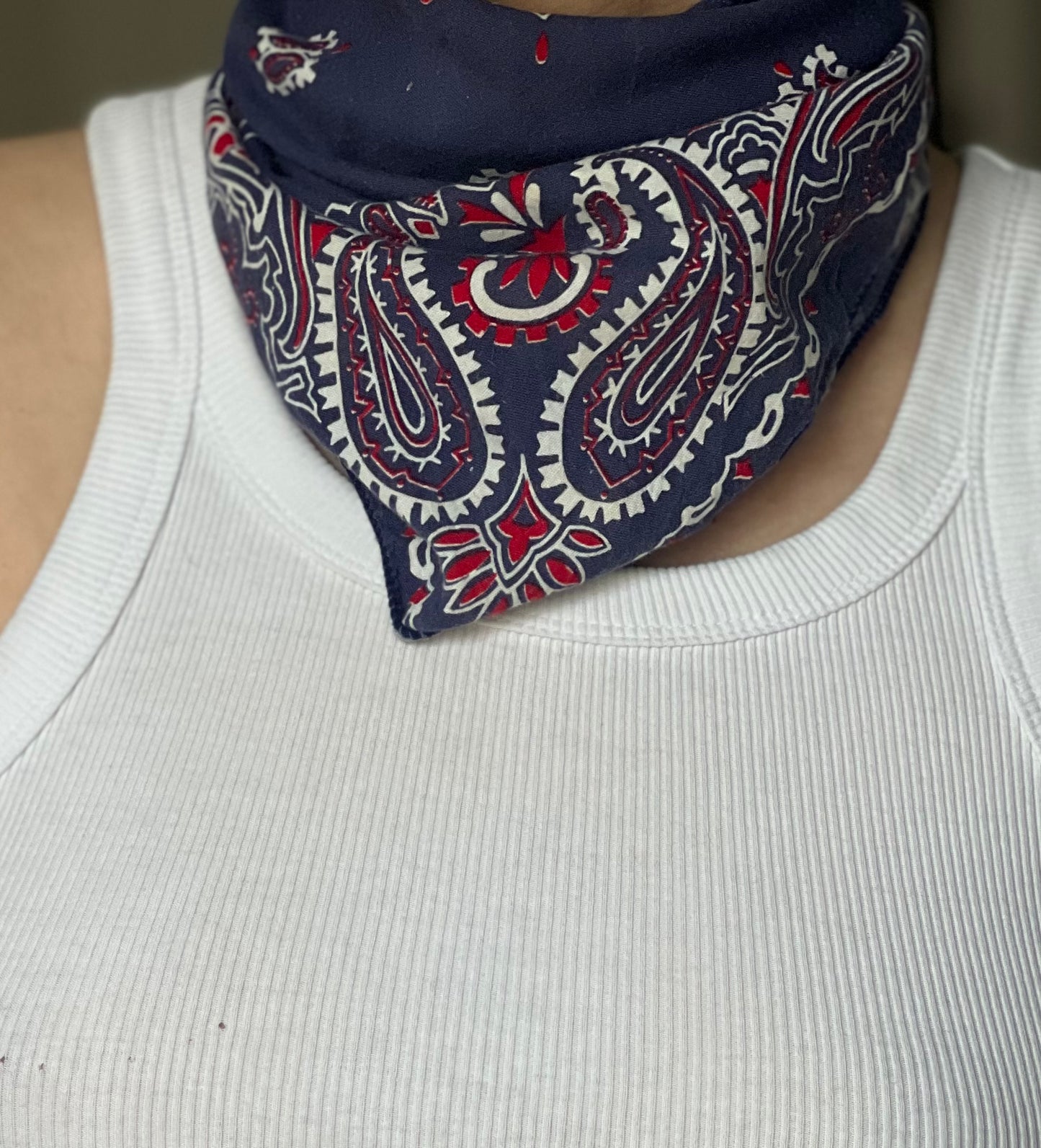 Paisley bandana