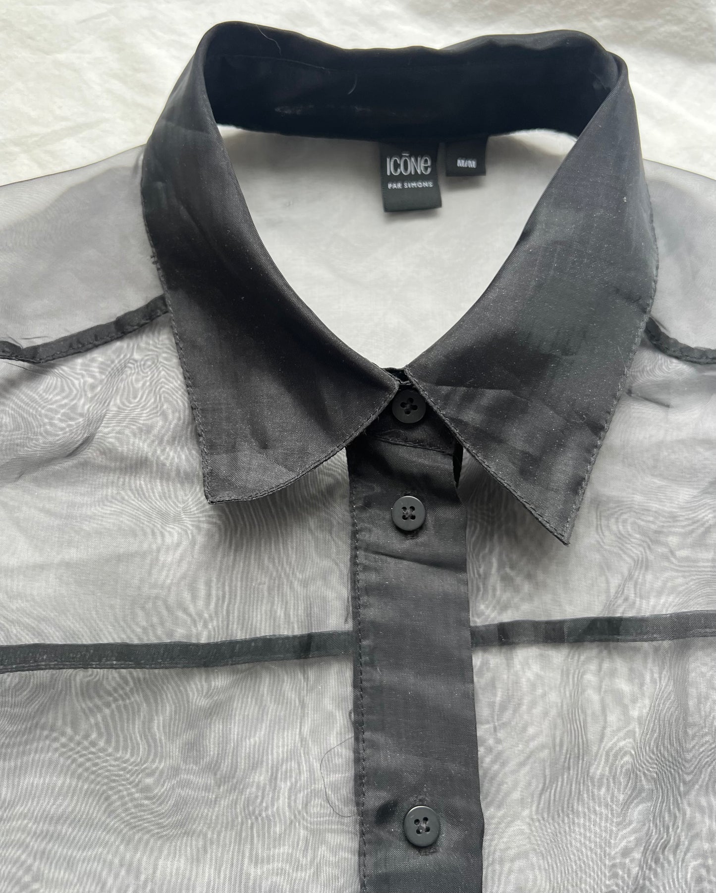 Sara Ramirez sheer button up