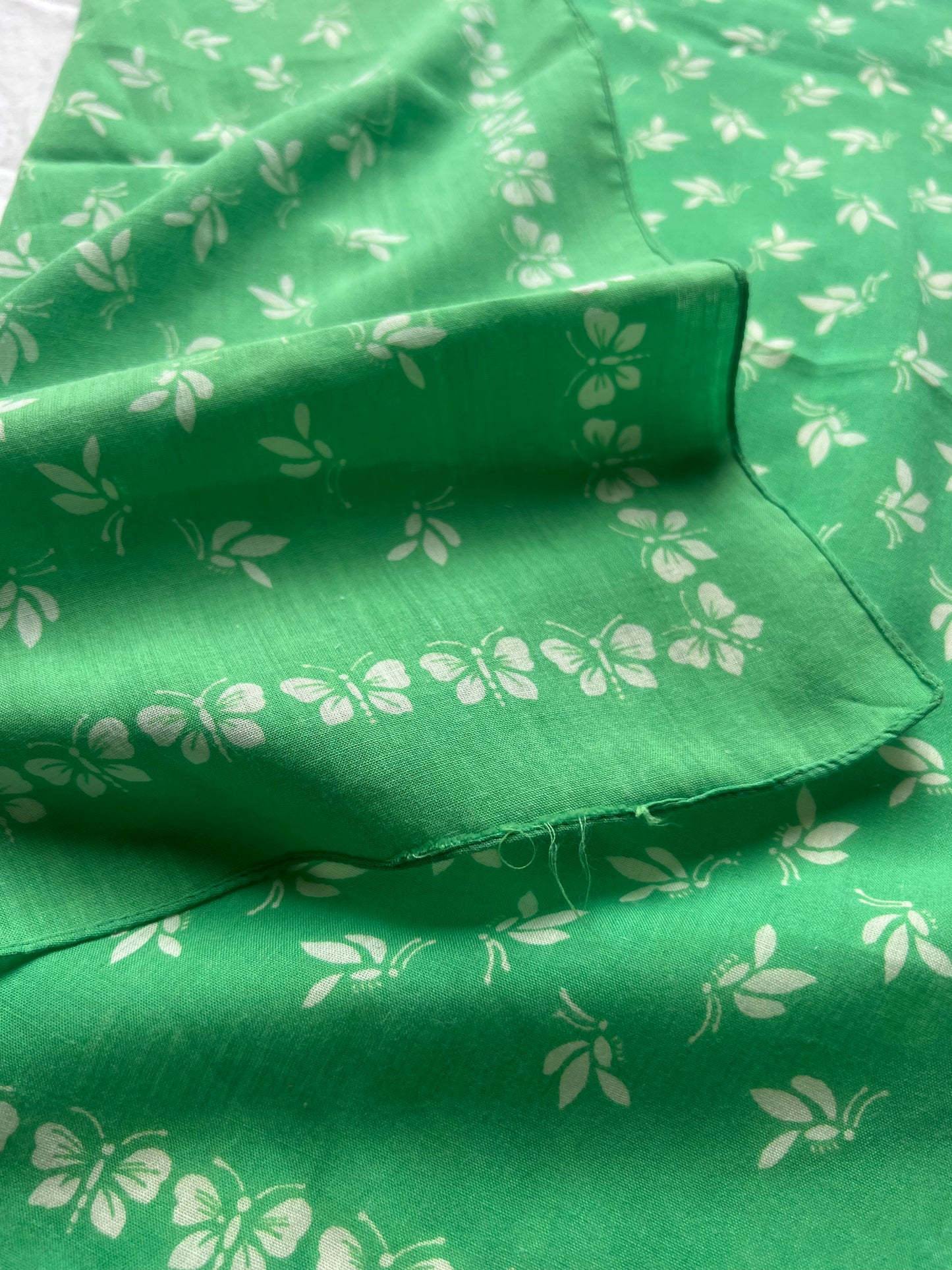 Butterfly green banana