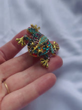 Load and play video in Gallery viewer, Black Eyed Pan Frog Brooch
